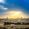 jerusalem Olive Tree Ministries