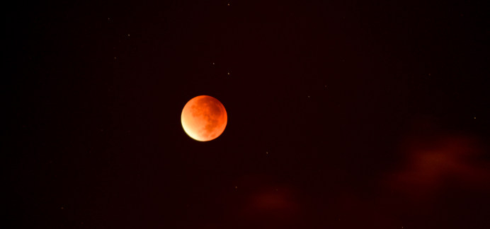 The Purim Blood Moons – what does it mean?